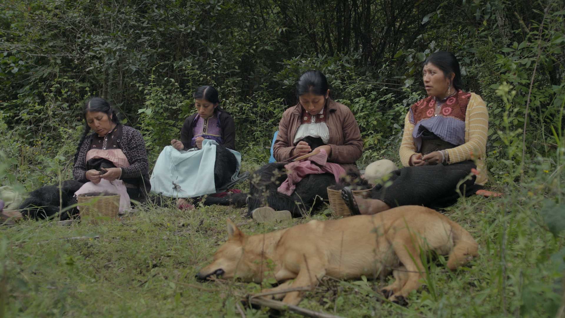 Nowe utarte ścieżki